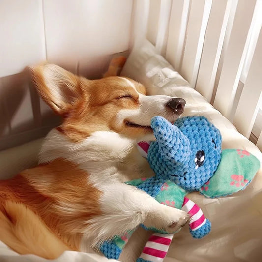 Se045cf4d691b4bc48e09b16588f1dceaS