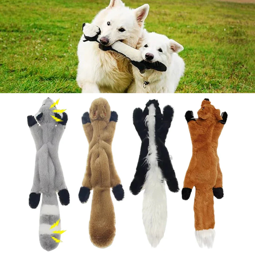 Dog Toys