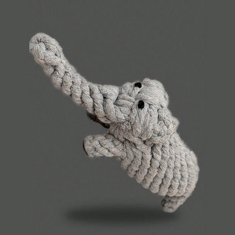 S4c585a489435482aa512948a8e81b634V